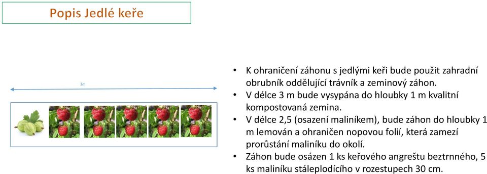 V délce 2,5 (osazení maliníkem), bude záhon do hloubky 1 m lemován a ohraničen nopovou folií, která