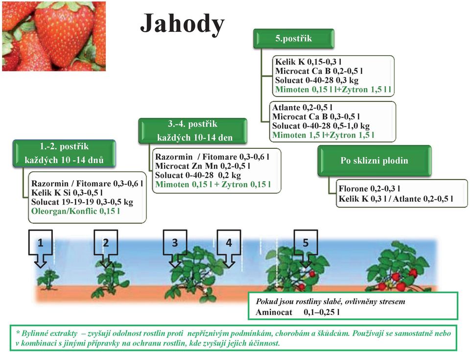 postřik každých 10-14 dnů Razormin / Fitomare 0,3-0,6 l Kelik K Si 0,3-0,5 l Solucat 19-19-19 0,3-0,5 kg Oleorgan/Konflic 0,15 l 3.-4.