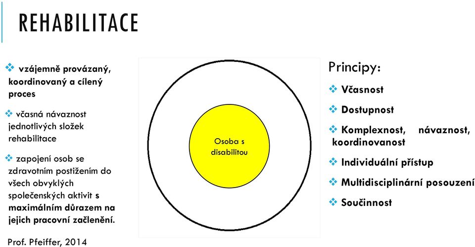 maximálním důrazem na jejich pracovní začlenění. Prof.