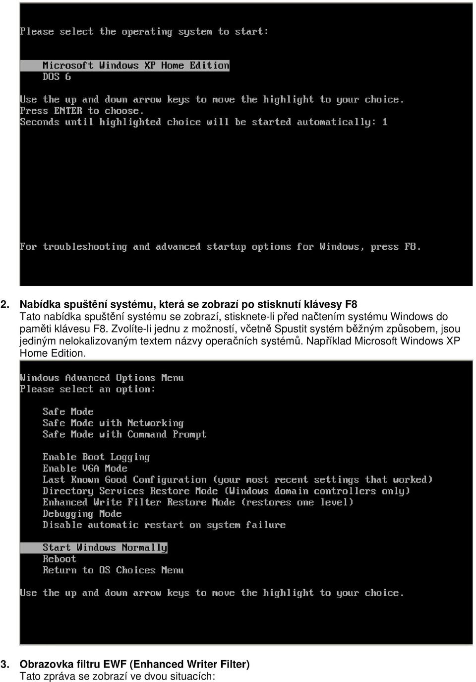 Zvolíte-li jednu z možností, včetně Spustit systém běžným způsobem, jsou jediným nelokalizovaným textem názvy