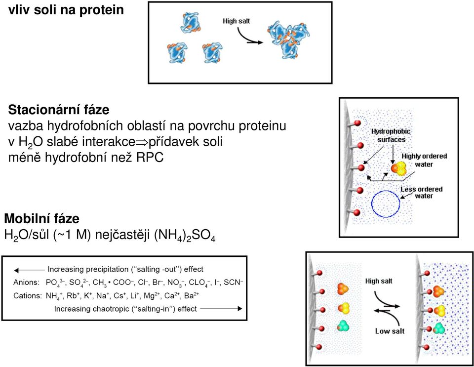 slabé interakce přídavek soli méně hydrofobní než