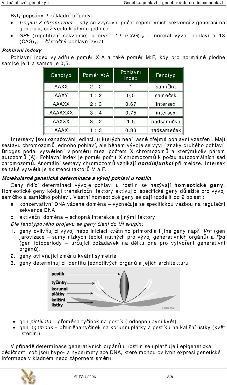 Genotyp Poměr X:A Pohlavní index Fenotyp AAXX 2 : 2 1 samička AAXY 1 : 2 0,5 sameček AAAXX 2 : 3 0,67 intersex AAAAXXX 3 : 4 0,75 intersex AAXXX 3 : 2 1,5 nadsamička AAAX 1 : 3 0,33 nadsameček