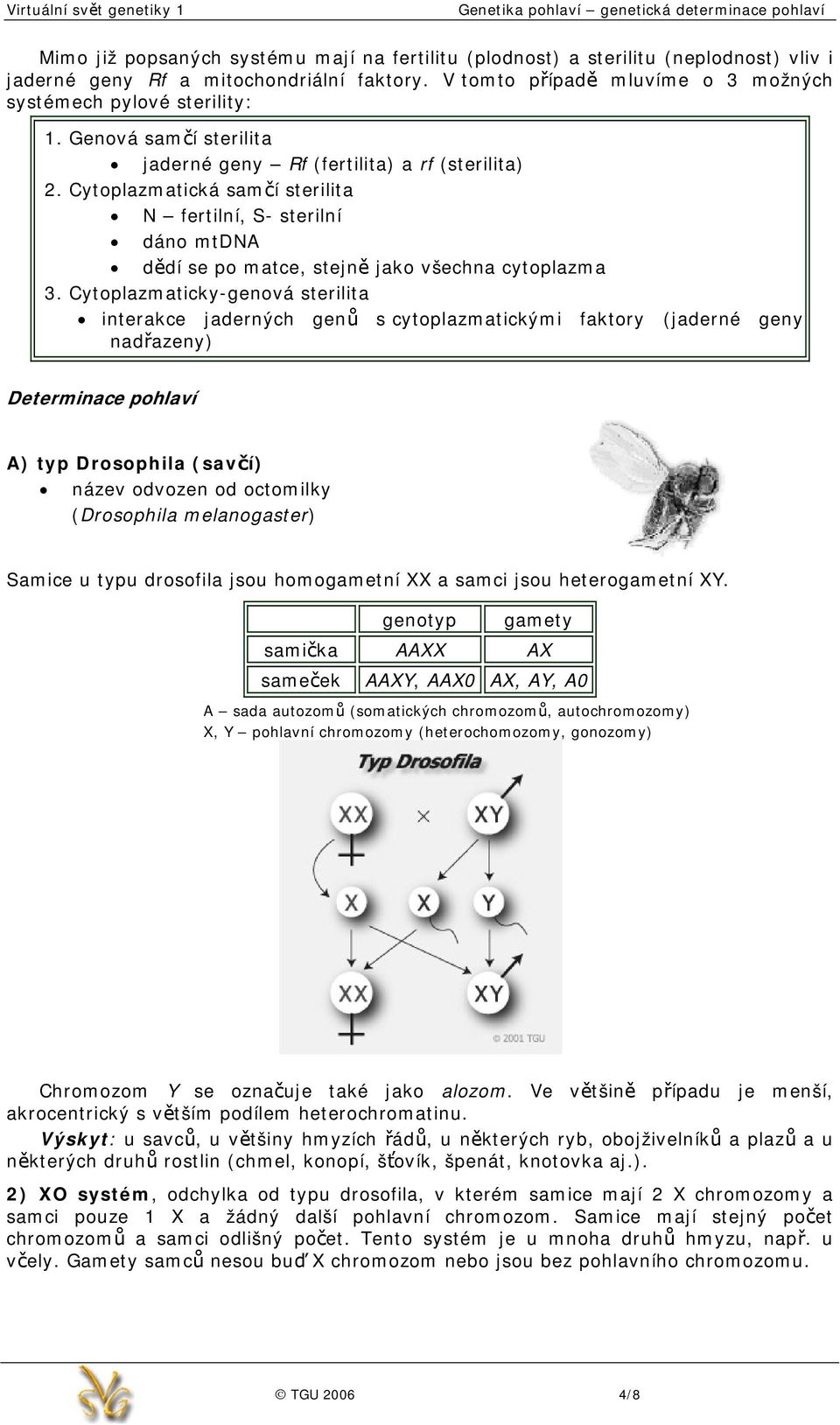 Cytoplazmaticky-genová sterilita interakce jaderných genů s cytoplazmatickými faktory (jaderné geny nadřazeny) Determinace pohlaví A) typ Drosophila (savčí) název odvozen od octomilky (Drosophila