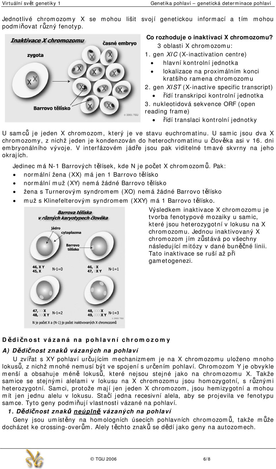 nukleotidová sekvence ORF (open reading frame) řídí translaci kontrolní jednotky U samců je jeden X chromozom, který je ve stavu euchromatinu.