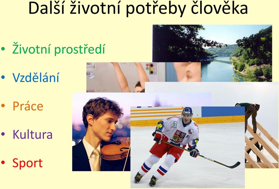 Životní prostředí