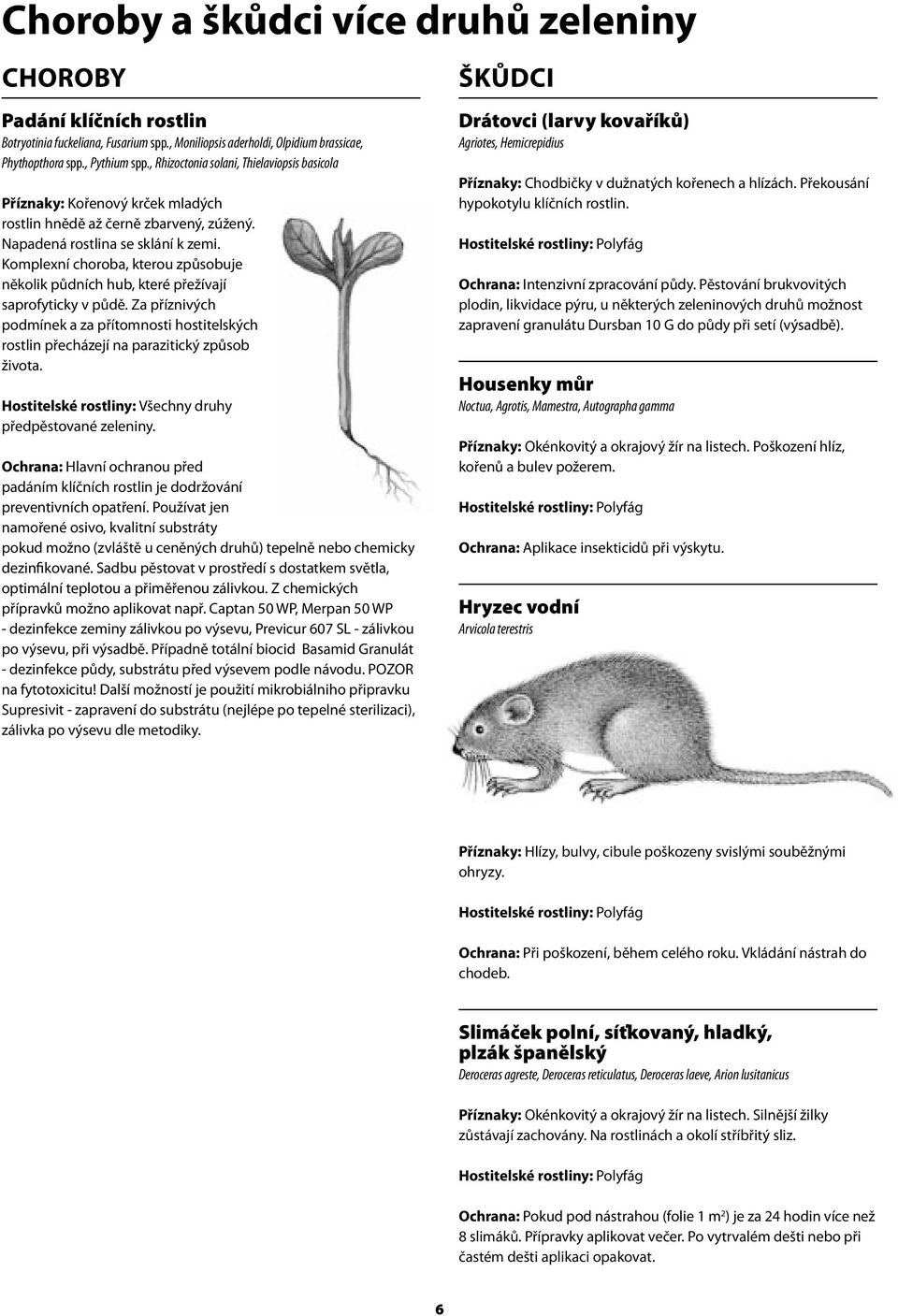 Komplexní choroba, kterou způsobuje několik půdních hub, které přežívají saprofyticky v půdě. Za příznivých podmínek a za přítomnosti hostitelských rostlin přecházejí na parazitický způsob života.