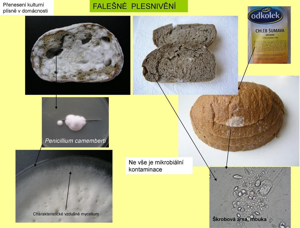 Ne vše je mikrobiální kontaminace