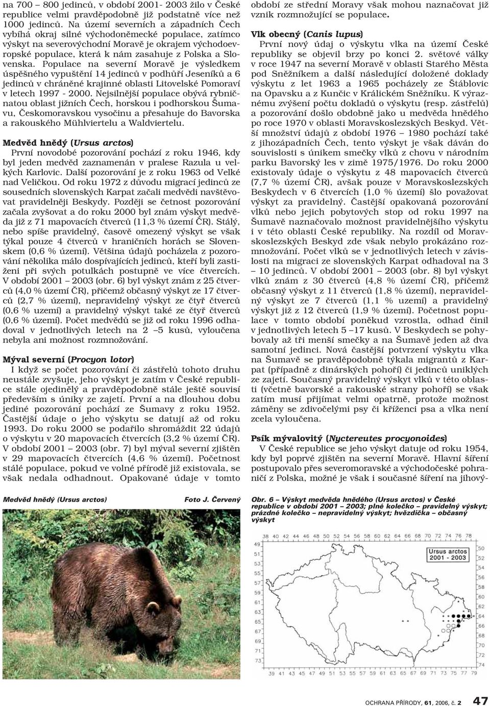 Populace na severní Moravě je výsledkem úspěšného vypuštění 14 jedinců v podhůří Jeseníků a 6 jedinců v chráněné krajinné oblasti Litovelské Pomoraví v letech 1997-2000.