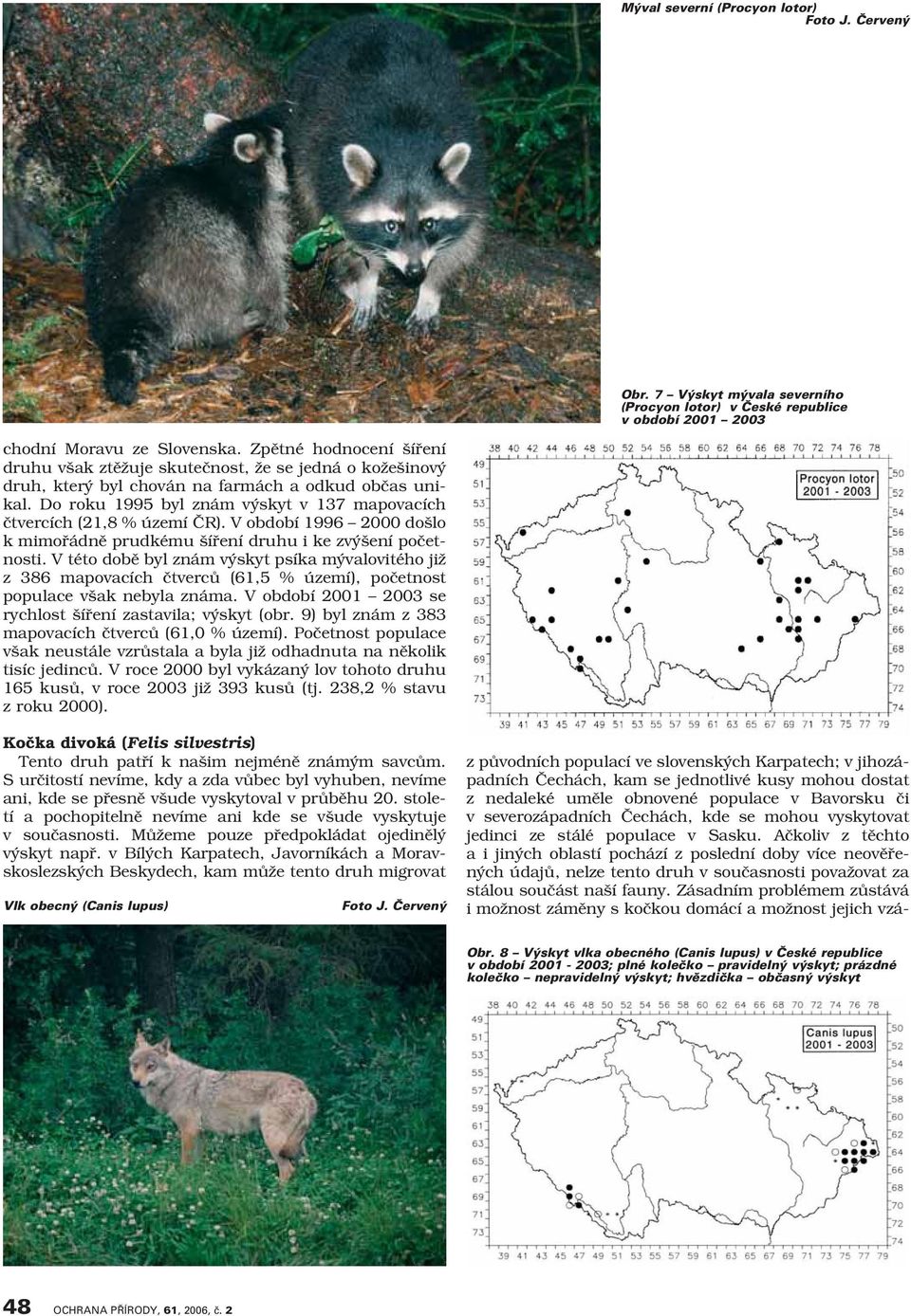 Do roku 1995 byl znám výskyt v 137 mapovacích čtvercích (21,8 % území ČR). V období 1996 2000 došlo k mimořádně prudkému šíření druhu i ke zvýšení početnosti.