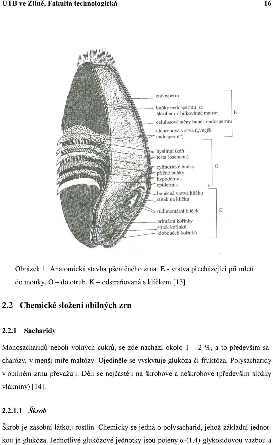 Ojediněle se vyskytuje glukóza či fruktóza. Polysacharidy v obilném zrnu převažují. Dělí se nejčastěji na škrobové a neškrobové (především složky vlákniny) [14