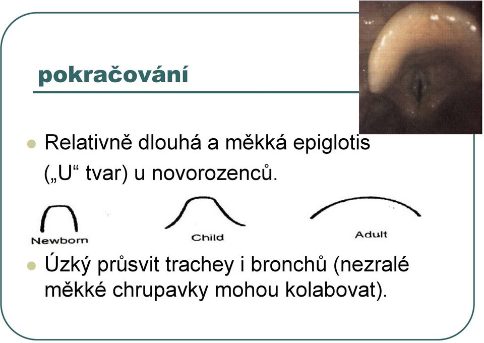 Úzký průsvit trachey i bronchů