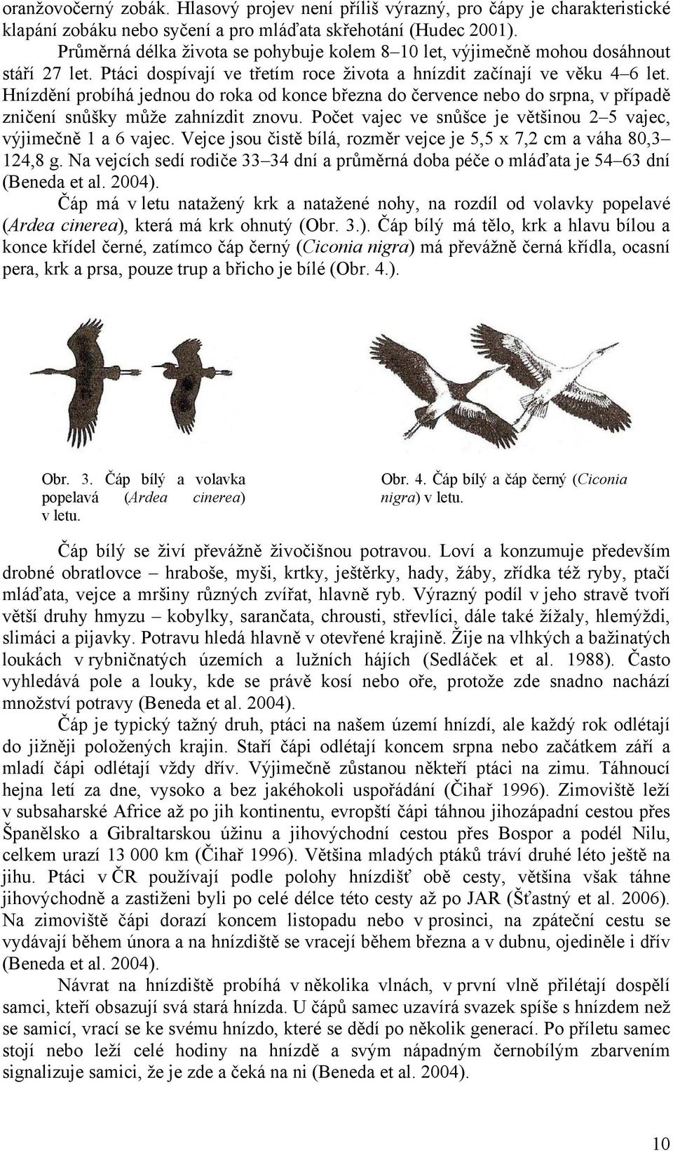 Hnízdění probíhá jednou do roka od konce března do července nebo do srpna, v případě zničení snůšky může zahnízdit znovu. Počet vajec ve snůšce je většinou 2 5 vajec, výjimečně 1 a 6 vajec.