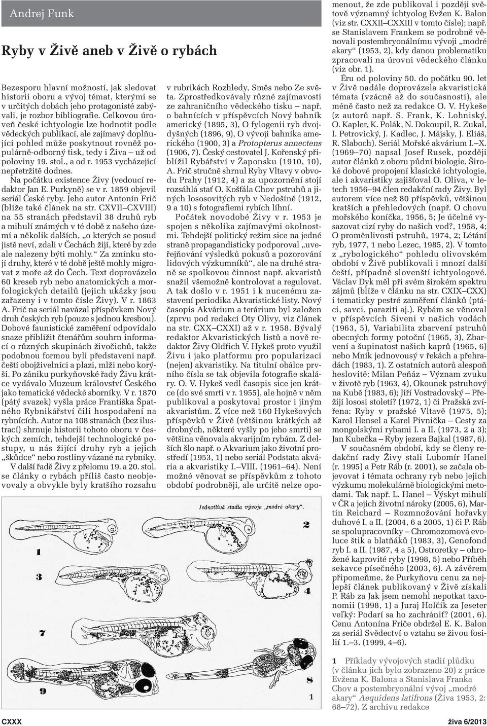 1953 vycházející nepřetržitě dodnes. Na počátku existence Živy (vedoucí re - daktor Jan E. Purkyně) se v r. 1859 objevil seriál České ryby. Jeho autor Antonín Frič (blíže také článek na str.