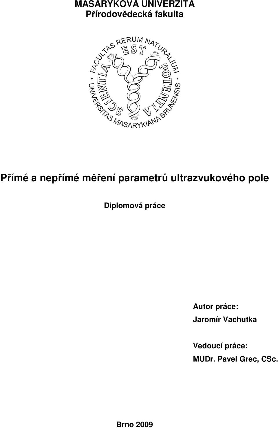 ultrazvukového pole Diplomová práce Autor