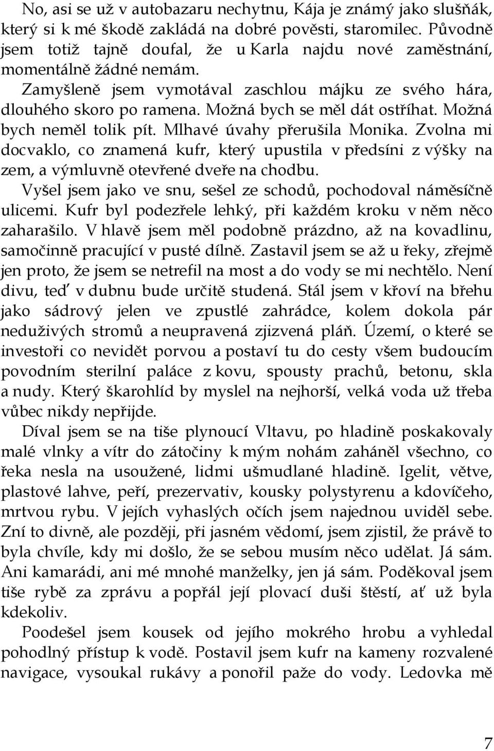 Možná bych se měl dát ostříhat. Možná bych neměl tolik pít. Mlhavé úvahy přerušila Monika.