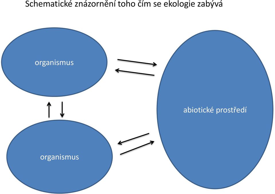 zabývá organismus