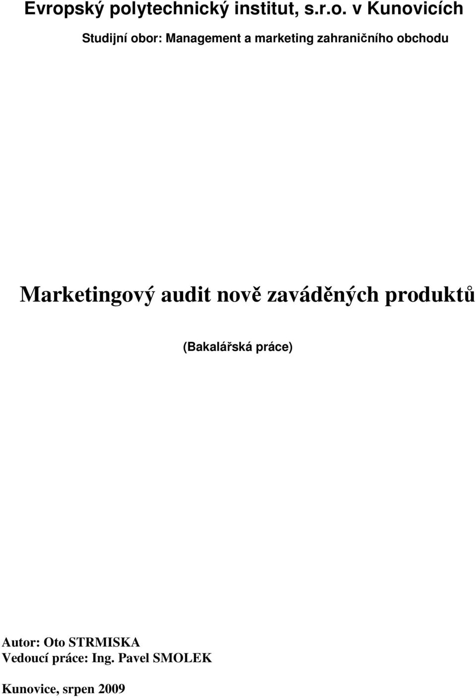 Marketingový audit nově zaváděných produktů (Bakalářská