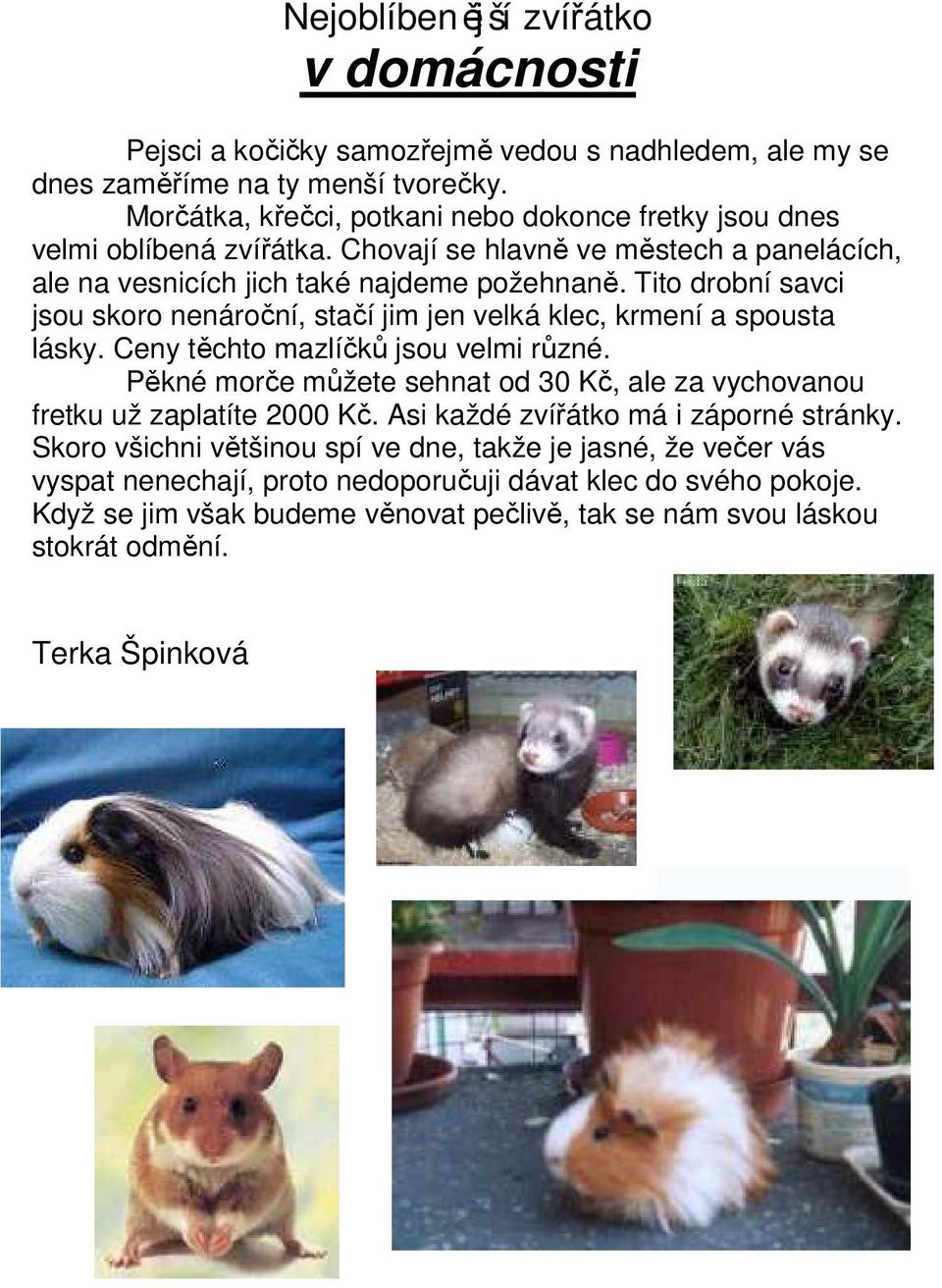 Tito drobní savci jsou skoro nenároční, stačí jim jen velká klec, krmení a spousta lásky. Ceny těchto mazlíčků jsou velmi různé.