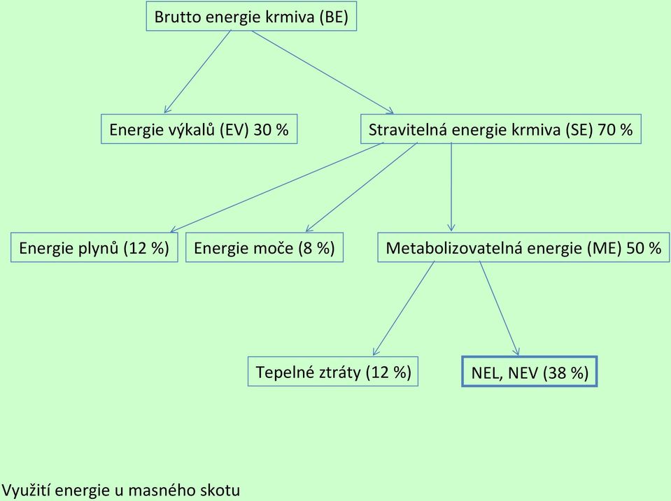Energie moče (8 %) Metabolizovatelná energie (ME) 50 %