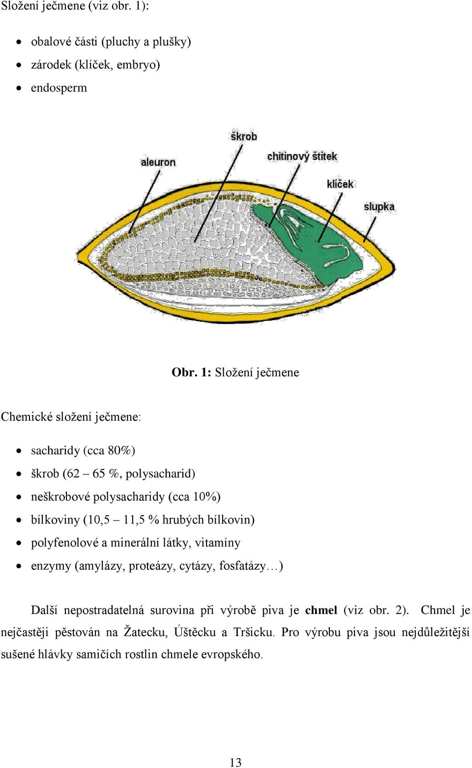 (10,5 11,5 % hrubých bílkovin) polyfenolové a minerální látky, vitamíny enzymy (amylázy, proteázy, cytázy, fosfatázy ) Další nepostradatelná