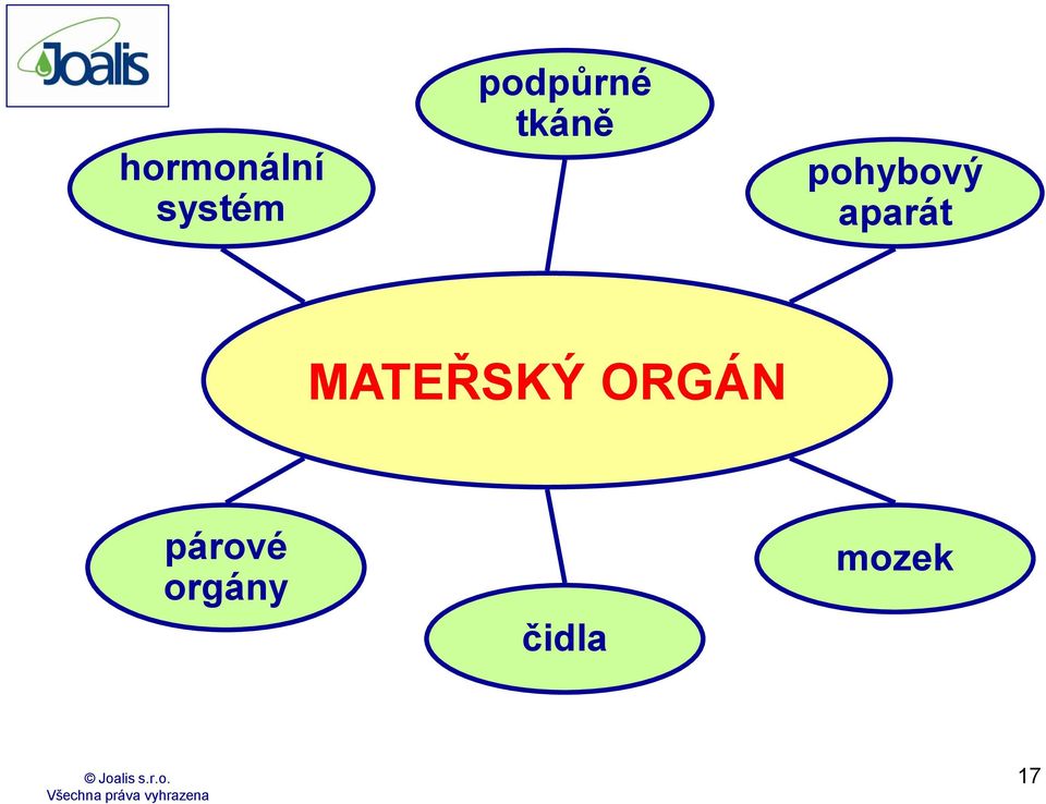 pohybový aparát