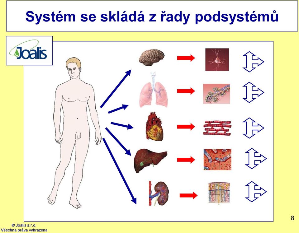 řady