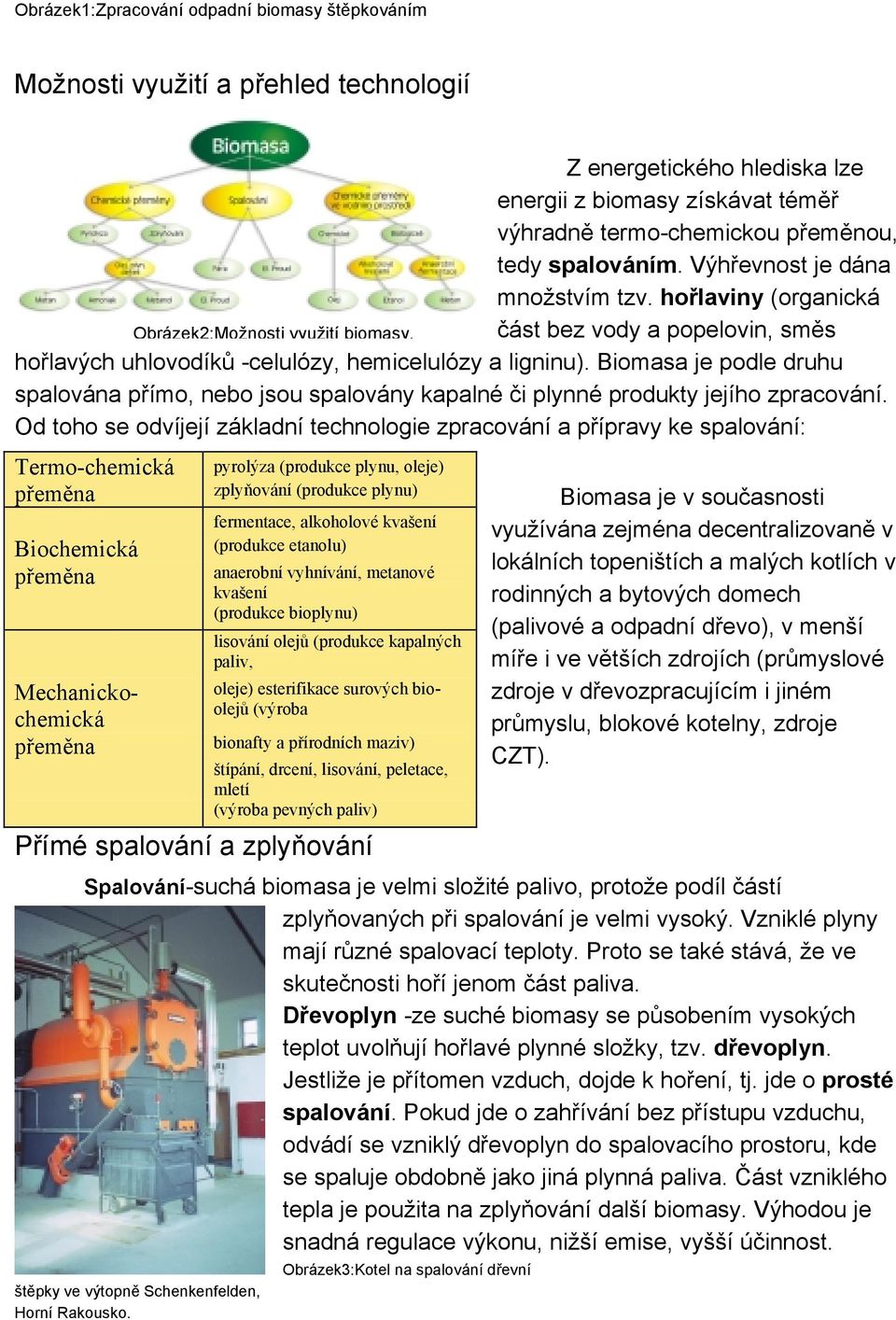 Biomasa je podle druhu spalována přímo, nebo jsou spalovány kapalné či plynné produkty jejího zpracování.