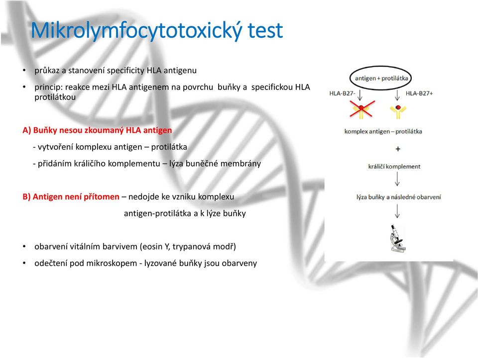 přidáním králičího komplementu lýza buněčné membrány B) Antigen není přítomen nedojde ke vzniku komplexu antigen