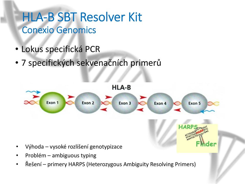 Výhoda vysoké rozlišení genotypizace Problém ambiguous