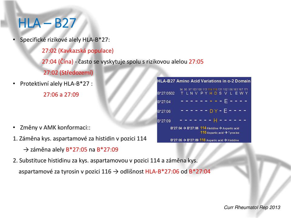 Záměna kys. aspartamové za histidin v pozici 114 záměna alely B*27:05 na B*27:09 2. Substituce histidinu za kys.