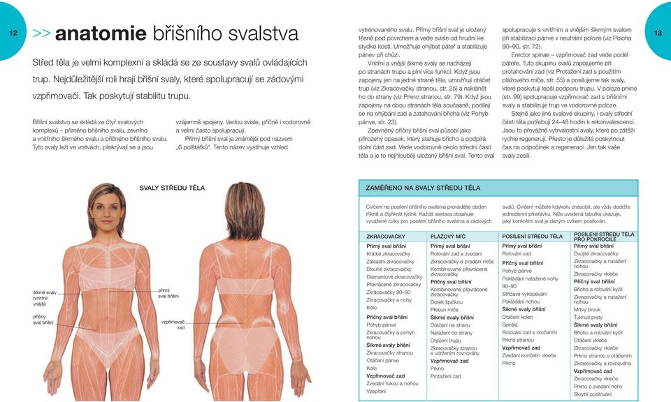 Umožňuje ohýbat páteř a stabilizuje 90 90, str. 72). Střed těla je velmi komplexní a skládá se ze soustavy svalů ovládajících pánev při chůzi.