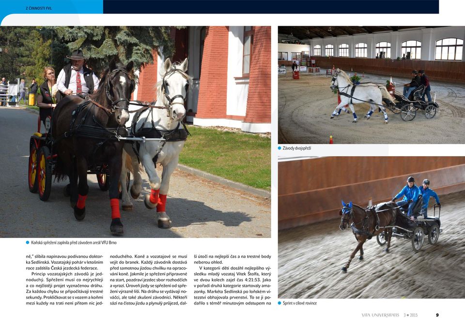 Za každou chybu se připočítávají trestné sekundy. Prokličkovat se s vozem a koňmi mezi kužely na trati není přitom nic jednoduchého. Koně a vozatajové se musí vejít do branek.