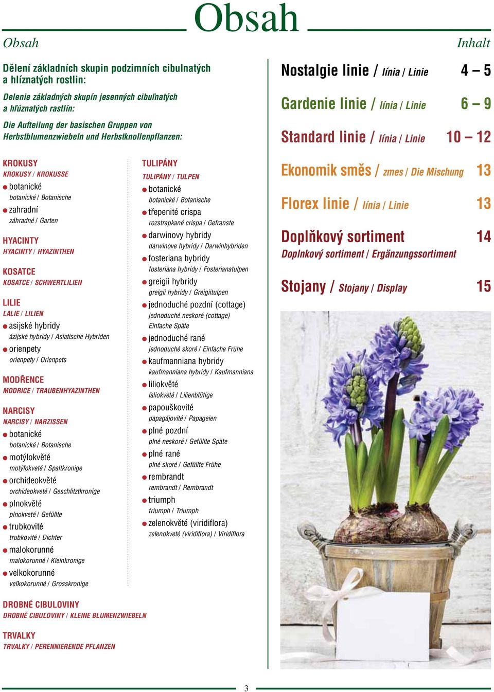 Botanische zahradní záhradné / Garten HYACINTY HYACINTY / HYAZINTHEN KOSATCE KOSATCE / SCHWERTLILIEN LILIE ĽALIE / LILIEN asijské hybridy ázijské hybridy / Asiatische Hybriden orienpety orienpety /