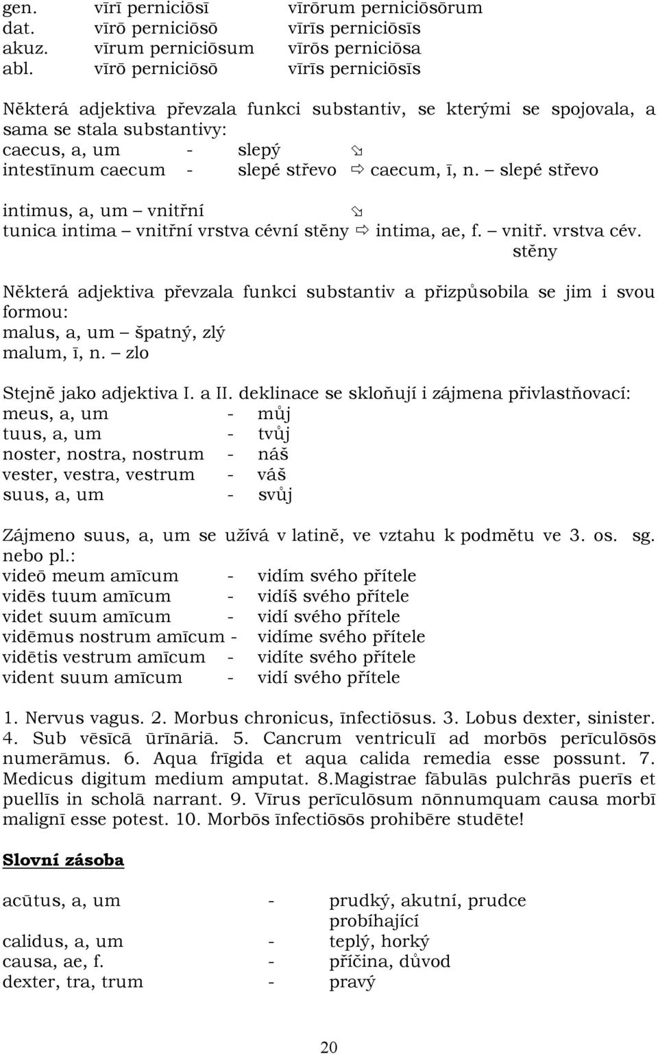 n. slepé střevo intimus, a, um vnitřní tunica intima vnitřní vrstva cévní stěny intima, ae, f. vnitř. vrstva cév. stěny Některá adjektiva převzala funkci substantiv a přizpůsobila se jim i svou formou: malus, a, um špatný, zlý malum, ī, n.