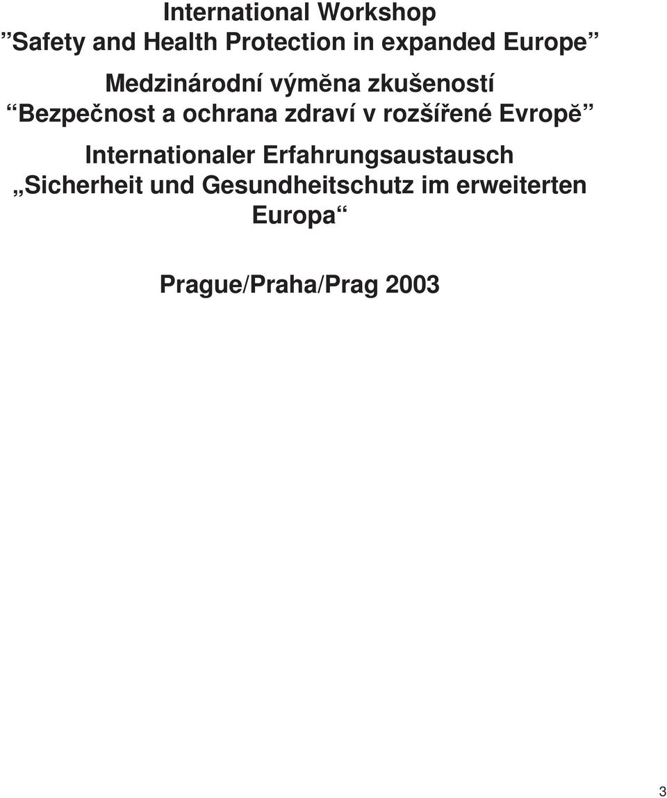 v rozšířené Evropĕ Internationaler Erfahrungsaustausch Sicherheit