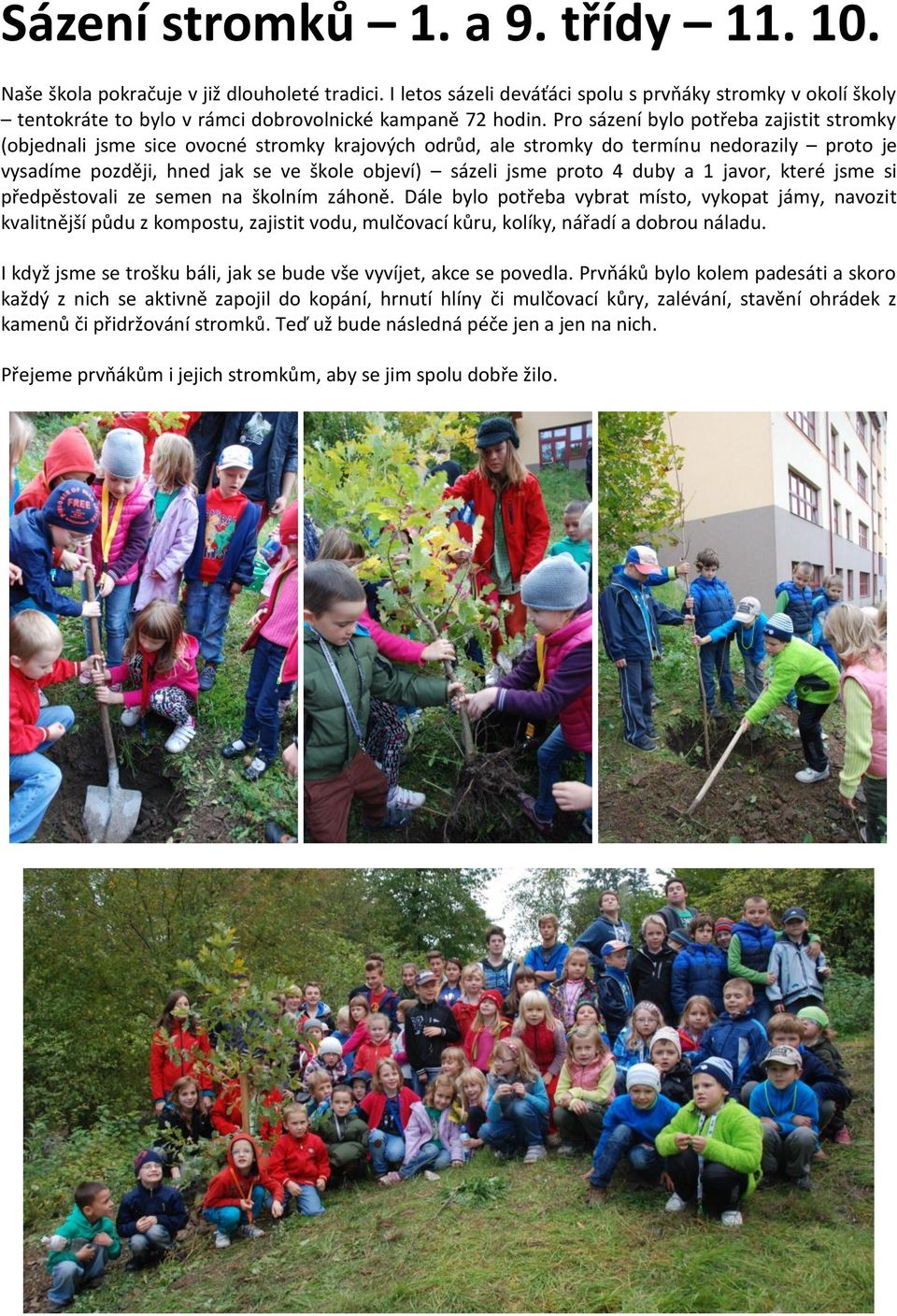 Pro sázení bylo potřeba zajistit stromky (objednali jsme sice ovocné stromky krajových odrůd, ale stromky do termínu nedorazily proto je vysadíme později, hned jak se ve škole objeví) sázeli jsme