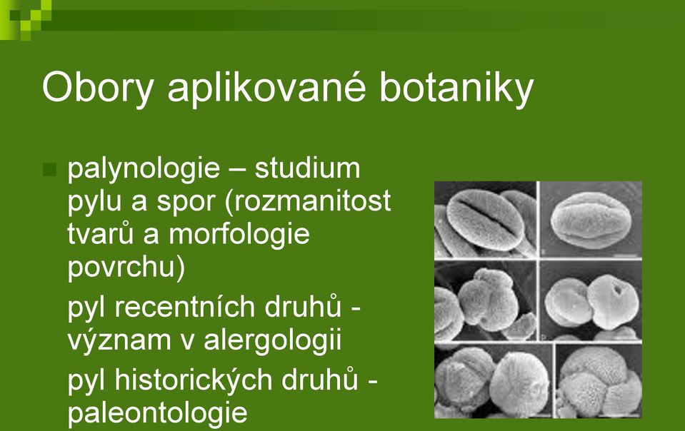 povrchu) pyl recentních druhů - význam v