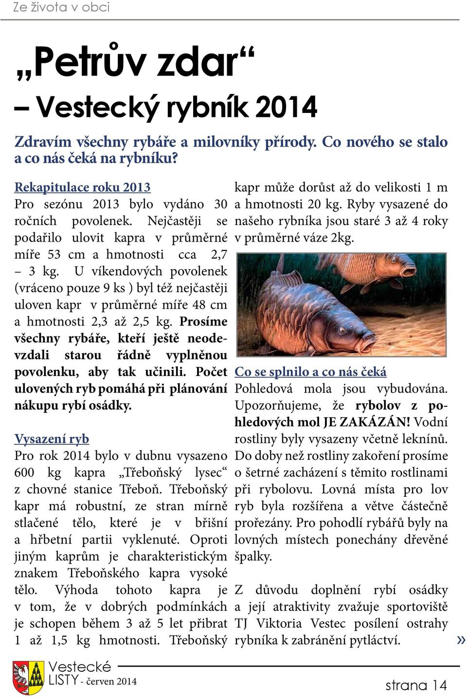 U víkendových povolenek (vráceno pouze 9 ks ) byl též nejčastěji uloven kapr v průměrné míře 48 cm a hmotnosti 2,3 až 2,5 kg.