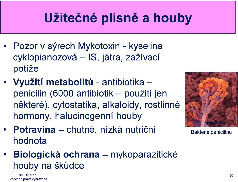 cytostatika, alkaloidy, rostlinné hormony, halucinogenní houby Potravina chutné, nízká