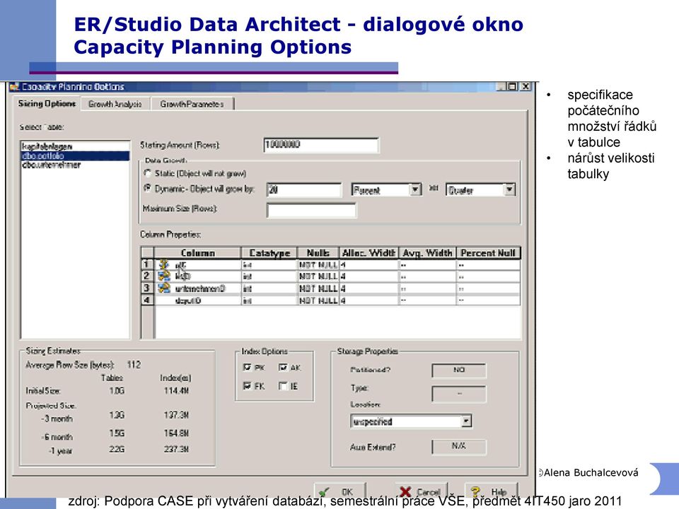 dialogové okno Capacity Planning Options specifikace