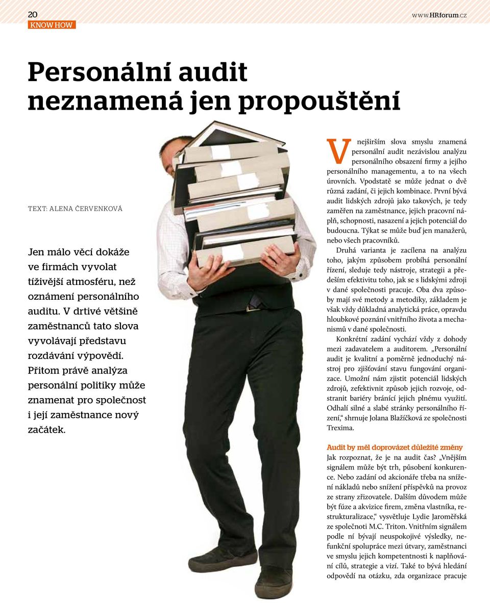 V nejširším slova smyslu znamená personální audit nezávislou analýzu personálního obsazení firmy a jejího personálního managementu, a to na všech úrovních.