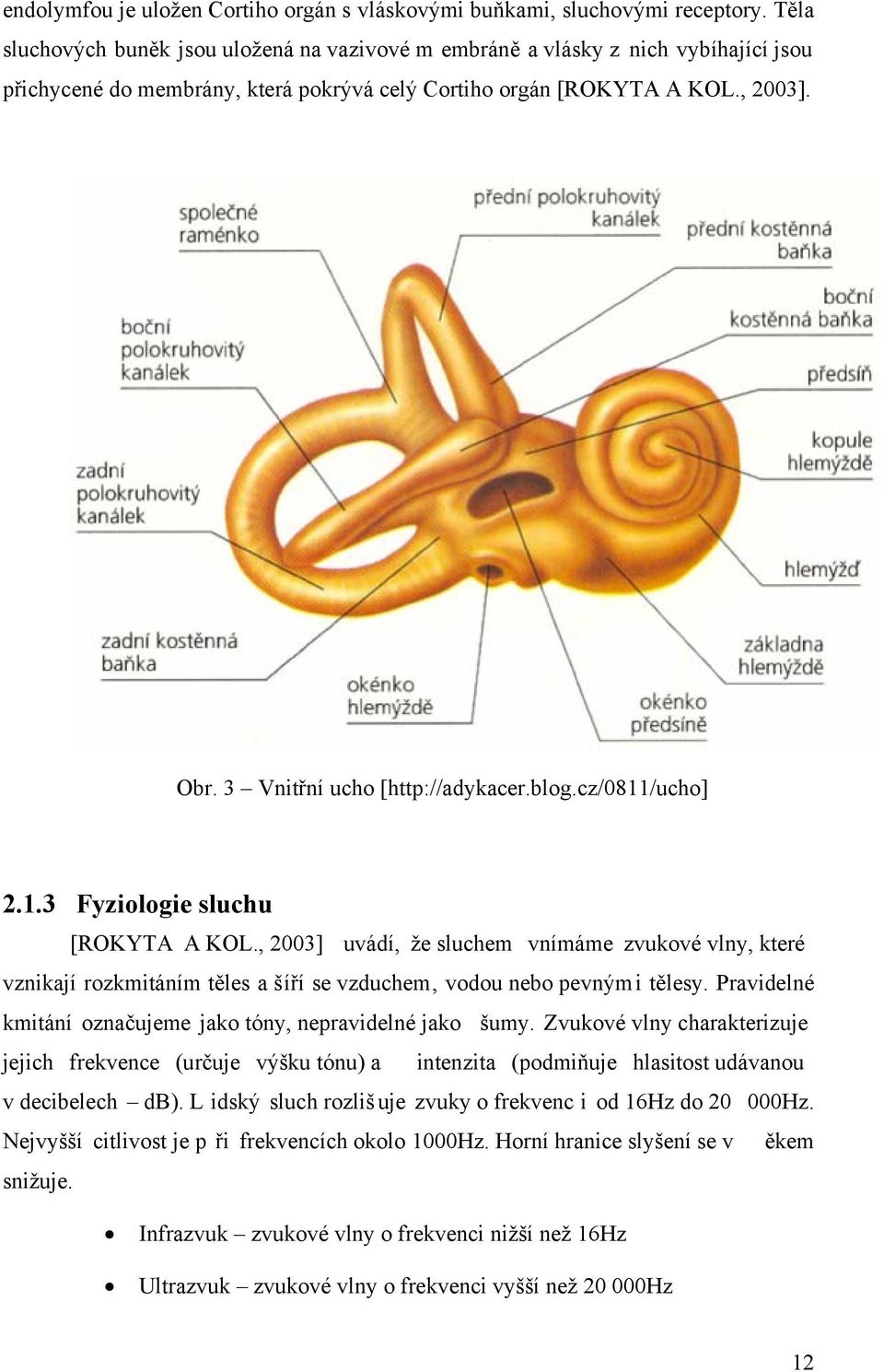 3 Vnitřní ucho [http://adykacer.blog.cz/0811/ucho] 2.1.3 Fyziologie sluchu [ROKYTA A KOL.