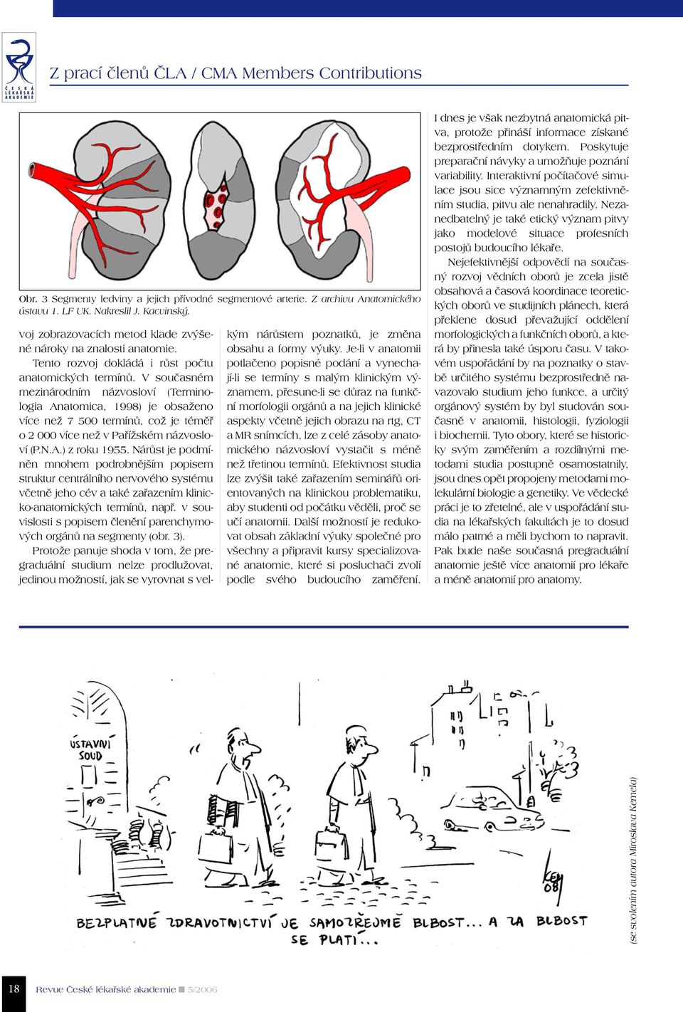 V současném mezinárodním názvosloví (Terminologia Anatomica, 1998) je obsaženo více než 7 500 termínů, což je téměř o 2 000 více než v Pařížském názvosloví (P.N.A.) z roku 1955.