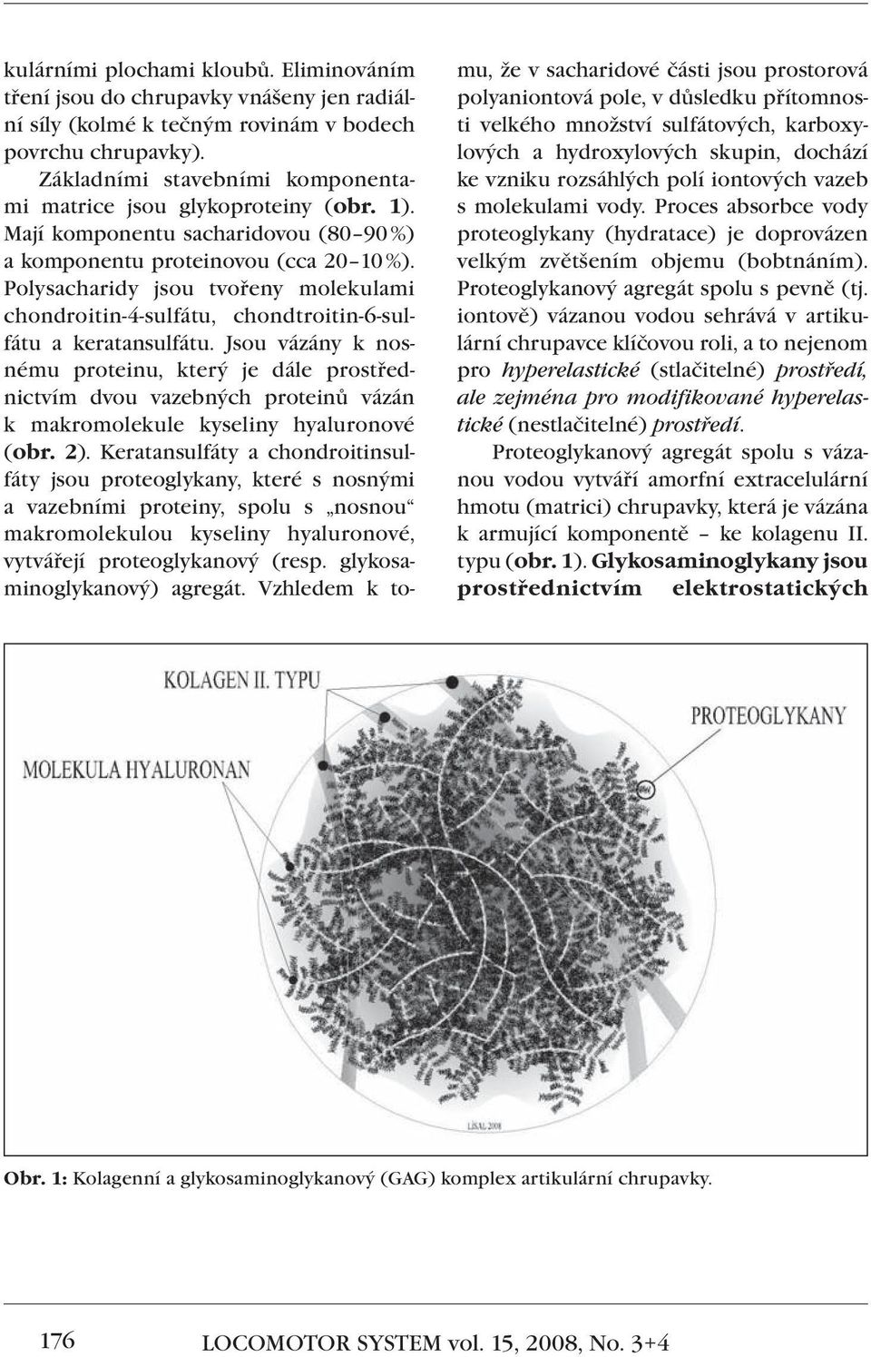 Polysacharidy jsou tvořeny molekulami chondroitin-4-sulfátu, chondtroitin-6-sulfátu a keratansulfátu.