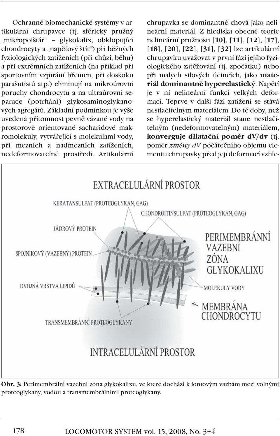 vzpírání břemen, při doskoku parašutistů atp.) eliminují na mikroúrovni poruchy chondrocytů a na ultraúrovni separace (potrhání) glykosaminoglykanových agregátů.