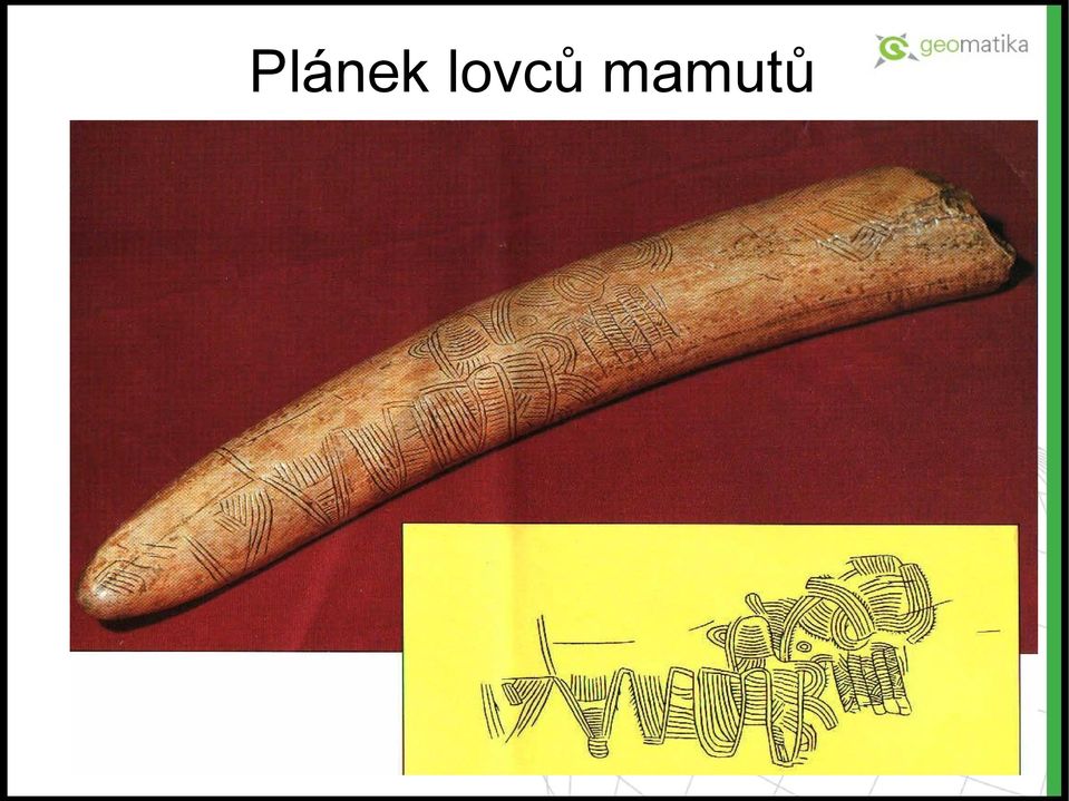 mamutů