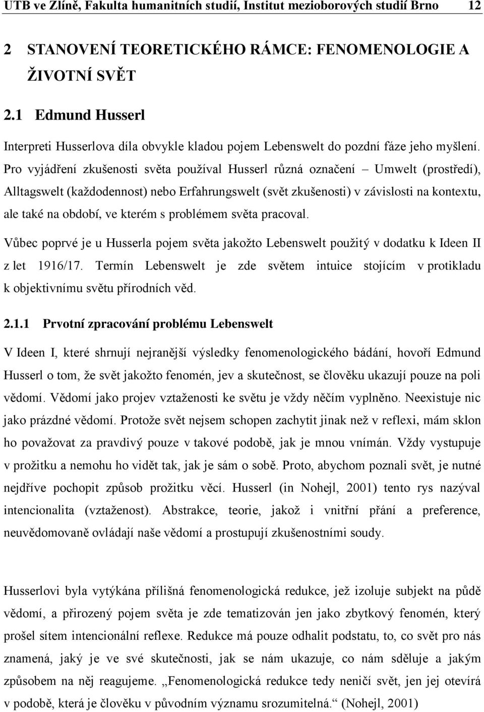 Pro vyjádření zkušenosti světa používal Husserl různá označení Umwelt (prostředí), Alltagswelt (každodennost) nebo Erfahrungswelt (svět zkušenosti) v závislosti na kontextu, ale také na období, ve