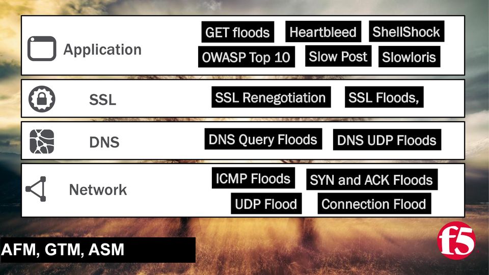 DNS Query Floods DNS UDP Floods Network ICMP Floods UDP Flood