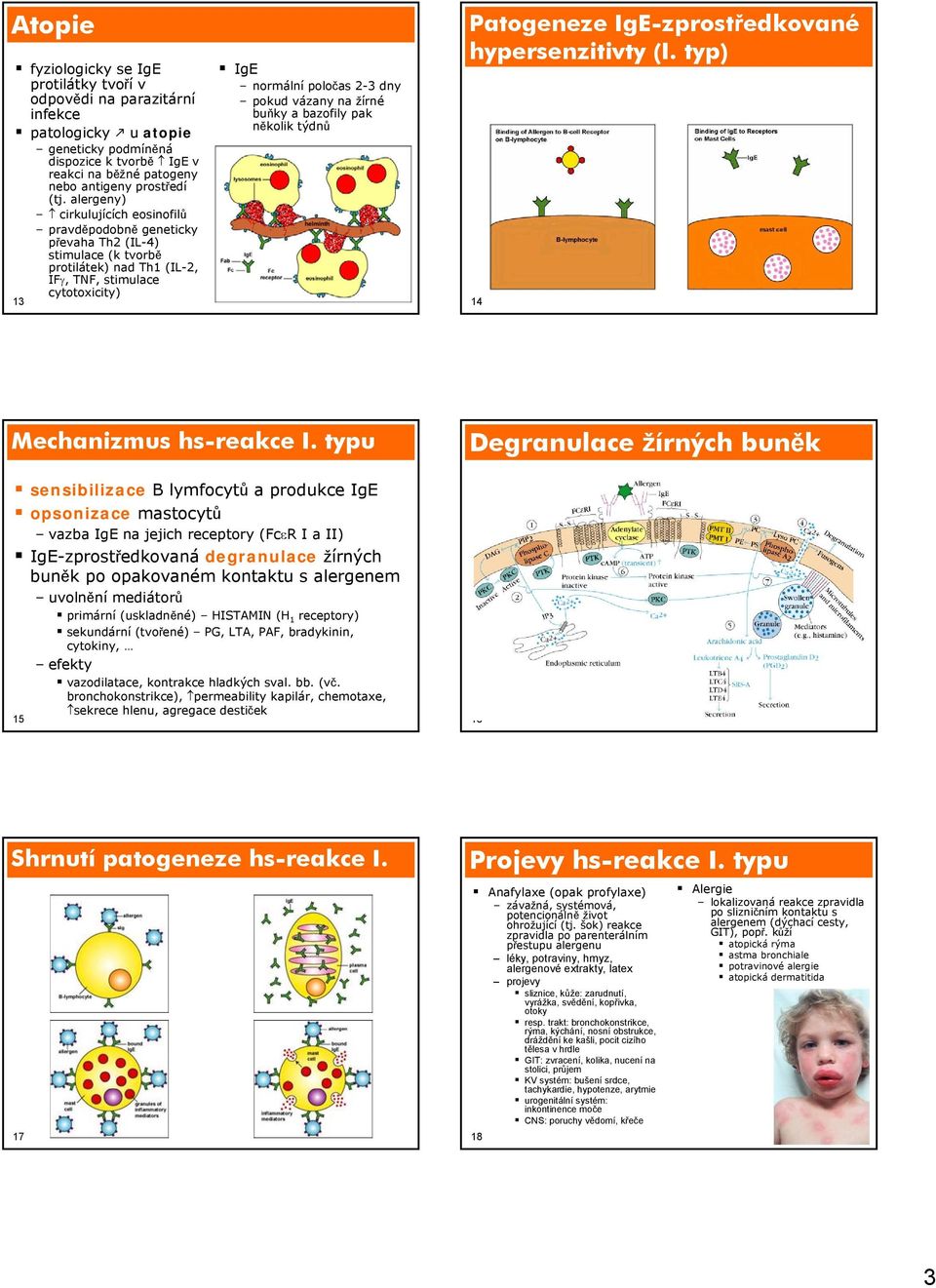 vázany na žírné buňky a bazofily pak několik týdnů Patogeneze IgE-zprostředkované hypersenzitivty (I. typ) 14 Mechanizmus hs- I.