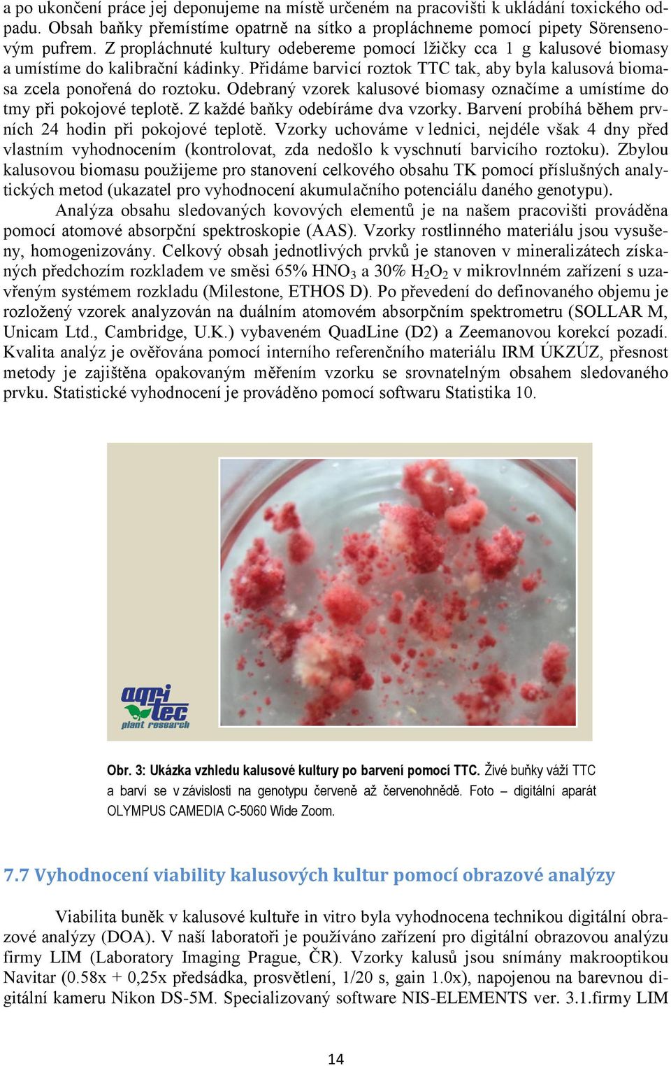 Odebraný vzorek kalusové biomasy označíme a umístíme do tmy při pokojové teplotě. Z každé baňky odebíráme dva vzorky. Barvení probíhá během prvních 24 hodin při pokojové teplotě.